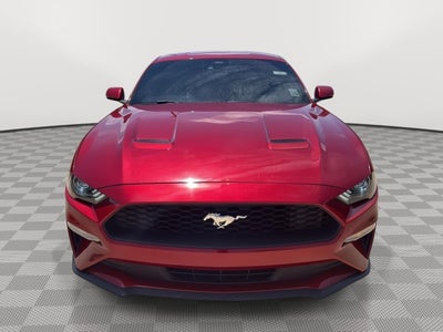 2023 Ford Mustang EcoBoost