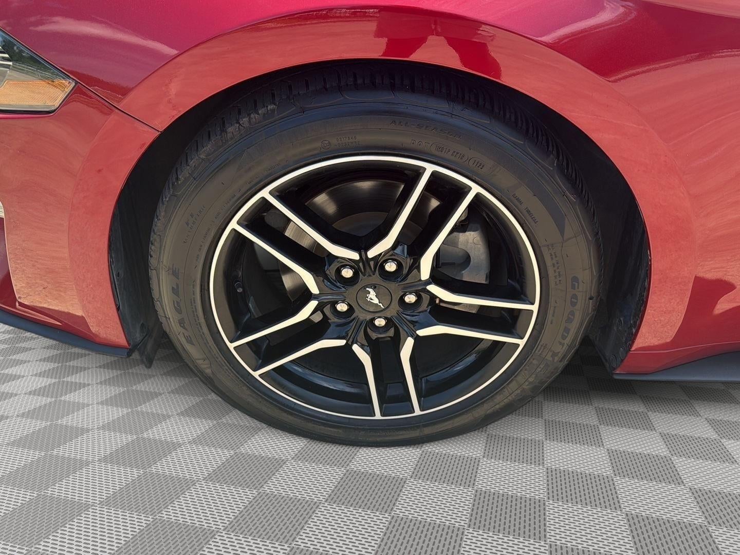 2023 Ford Mustang EcoBoost