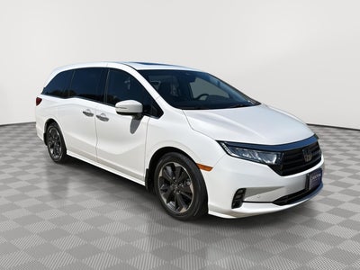 2024 Honda Odyssey Elite