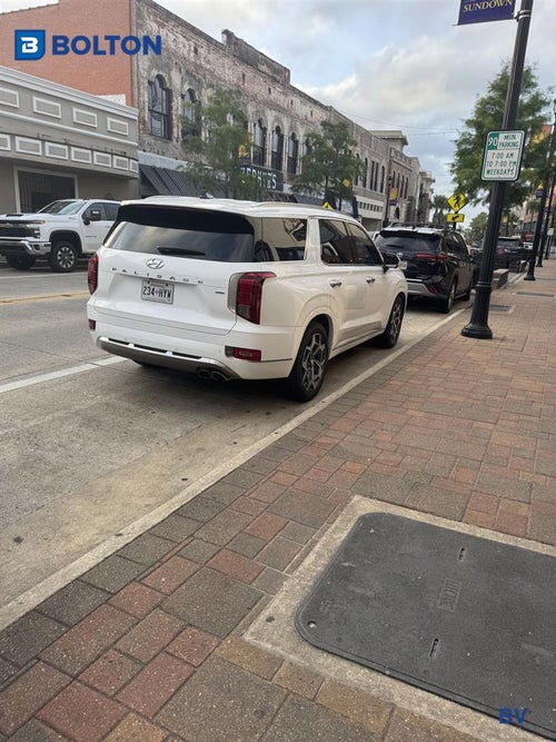2022 Hyundai Palisade Calligraphy